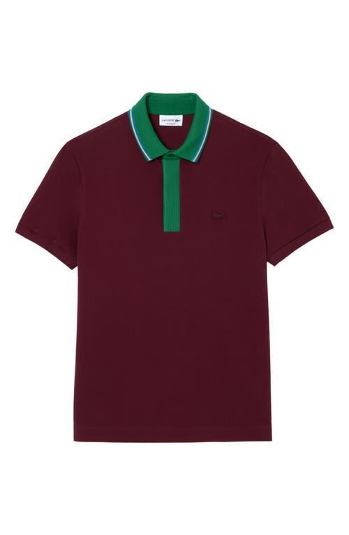 Lacoste Regular Fit Tipped Cotton Piqu Polo Product Image