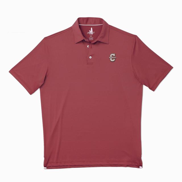 College of Charleston Birdie Jersey Performance Polo Product Image