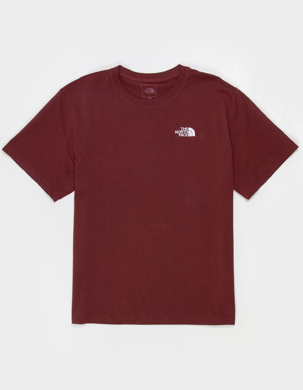 THE NORTH FACE Evolution Box Fit Mens Tee Product Image