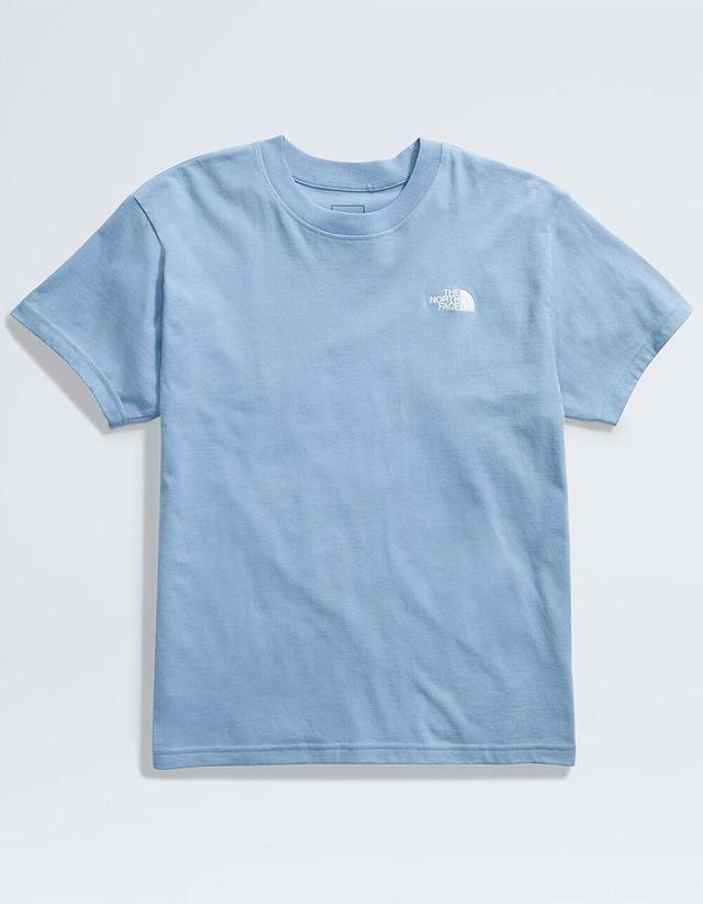 THE NORTH FACE Evolution Box Fit Mens Tee Product Image