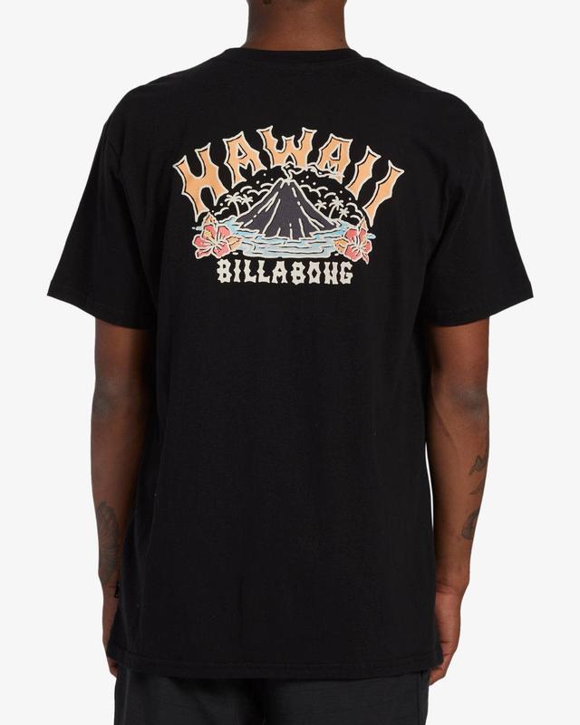 Arch Hawaii T-Shirt - Black Male Product Image