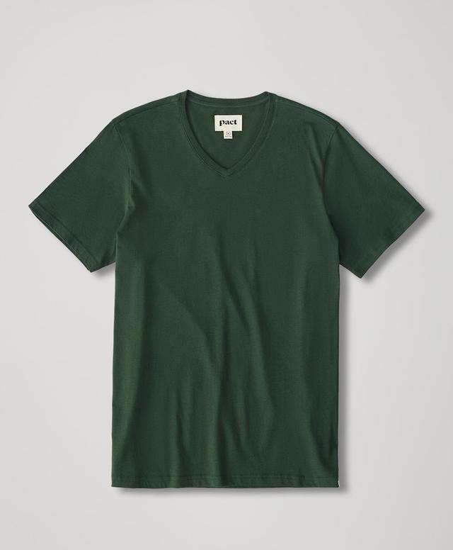 Mens Mountain View Softspun V-Neck Tee S Product Image