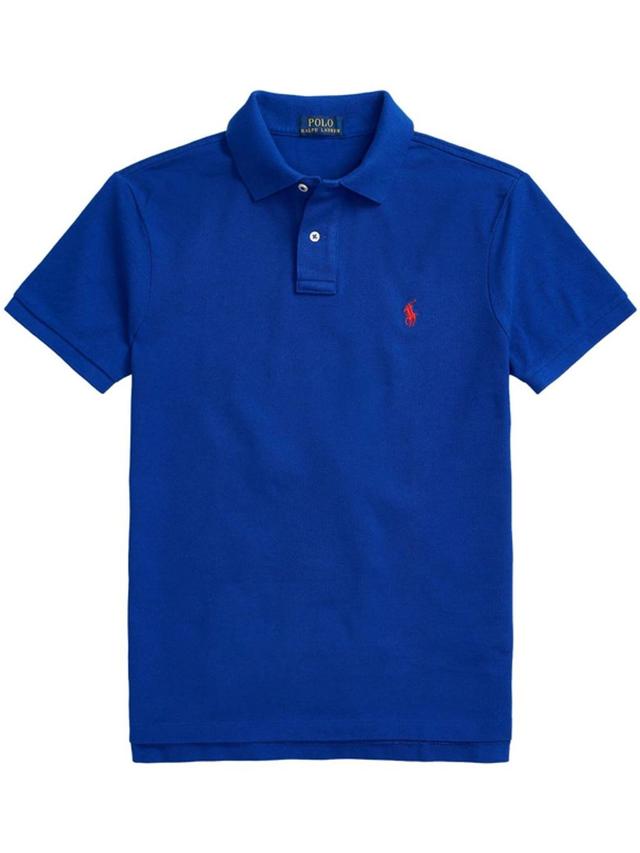 Polo Pony Cotton Polo Shirt In Blue Product Image