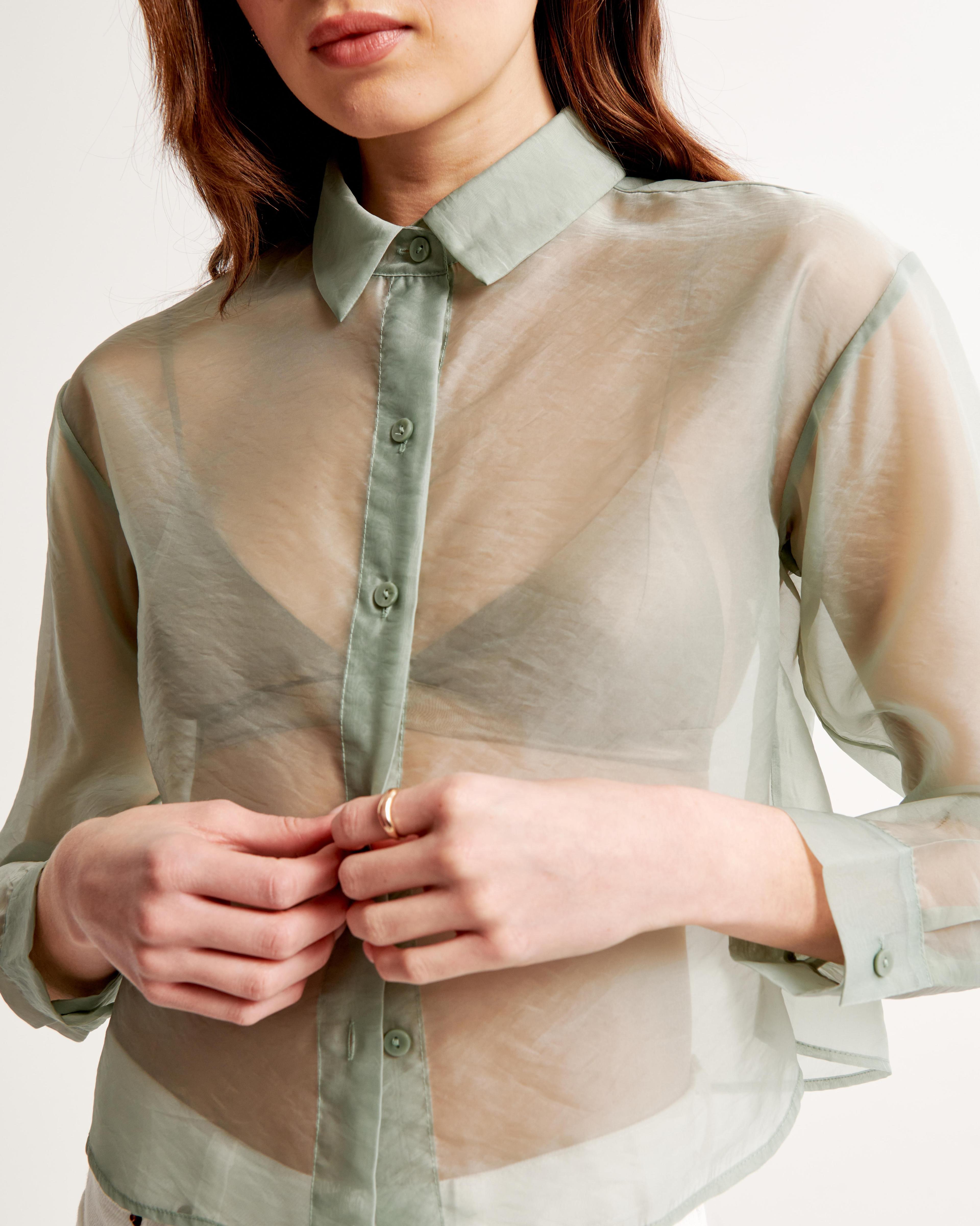 Long-Sleeve Sheer Shirt Product Image