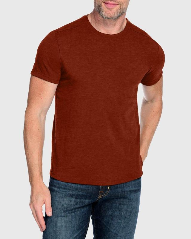 Mens Everyday Wool Crewneck T-Shirt Product Image