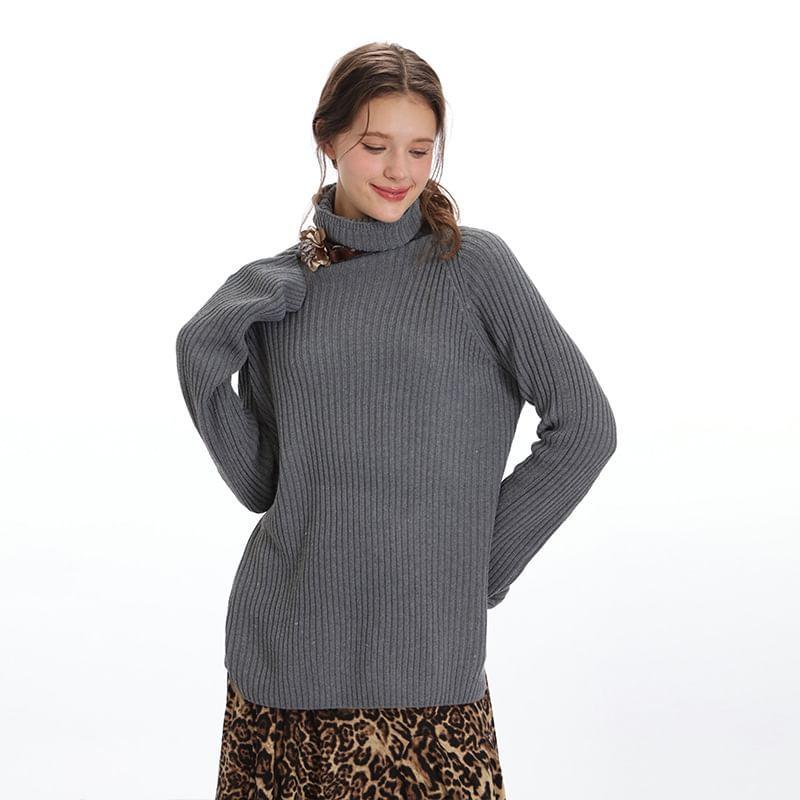 Long Sleeve Turtle Neck Plain Ribbed-Knit Loose-Fit Sweater product image