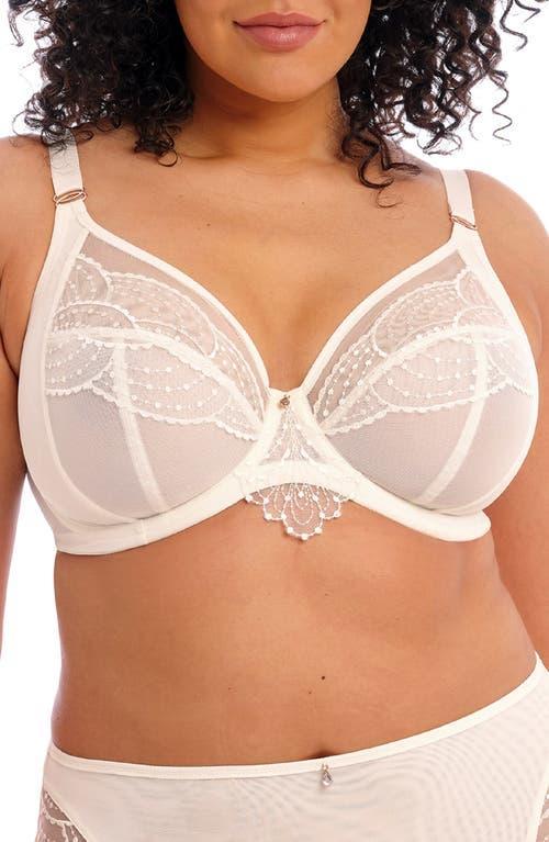 Elomi Priya Full Figure Underwire Plunge Bra Product Image