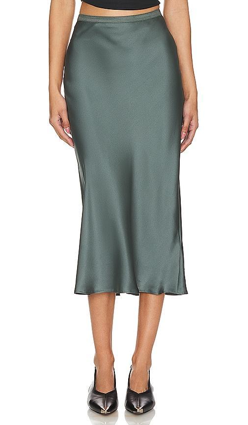 Bar Silk Maxi Skirt Product Image