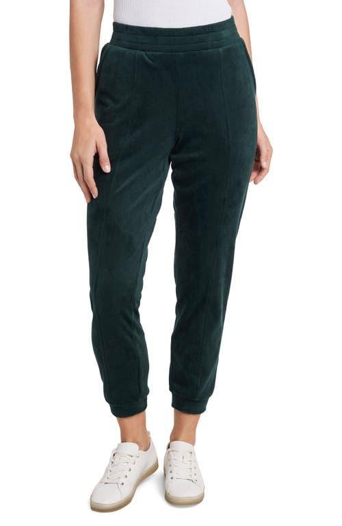 1.state Womens Velour Drawstring Waist Pull on Pants Product Image