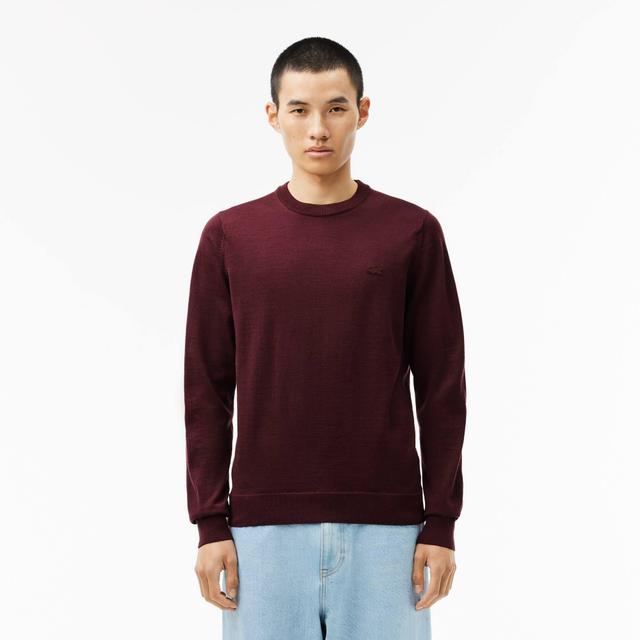 Merino Wool Crew Neck Sweater Product Image