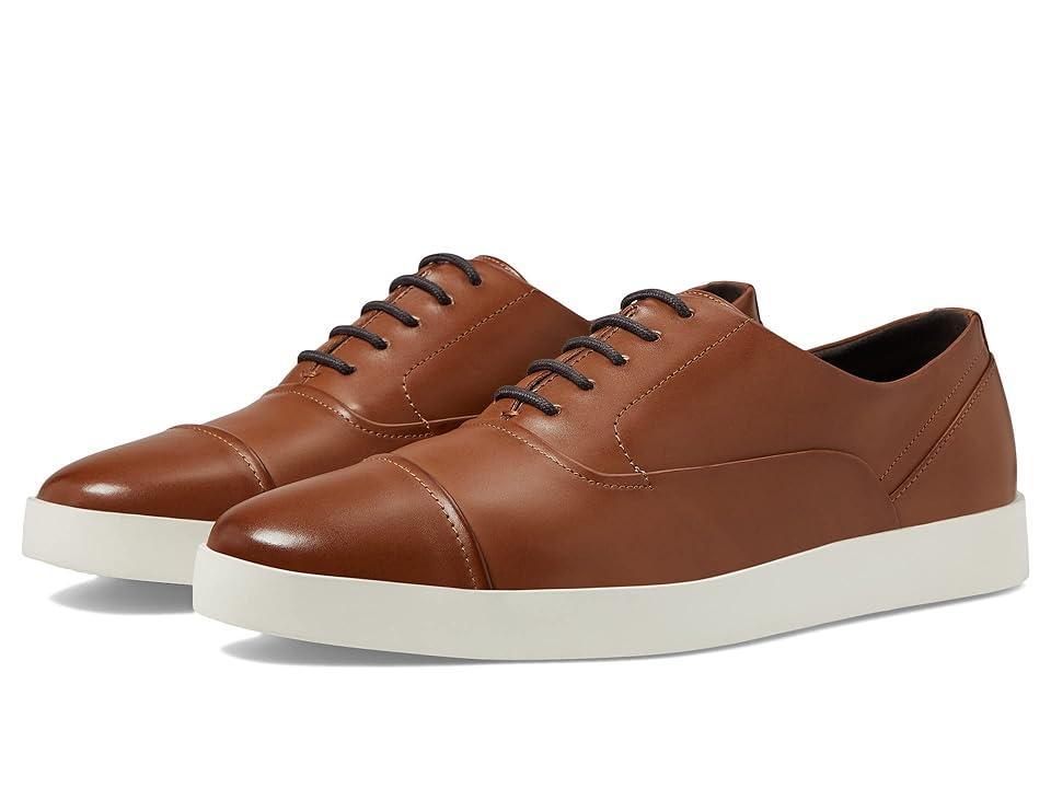 Calvin Klein Elijah 2 (Medium ) Men's Shoes Product Image