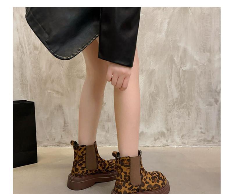 Leopard Print Platform Short Chelsea Boots Product Image