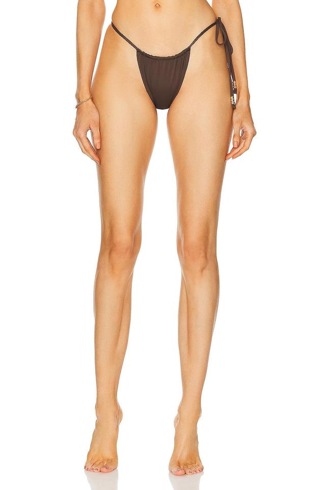 Palm Viper Bikini Bottom Product Image