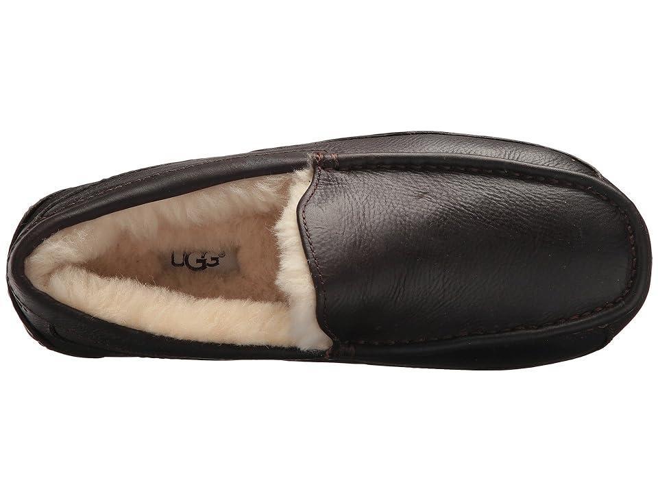 UGG(r) Ascot Leather Slipper Product Image