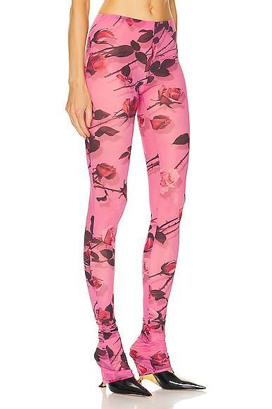Blumarine Mesh Leggings in Pink Product Image