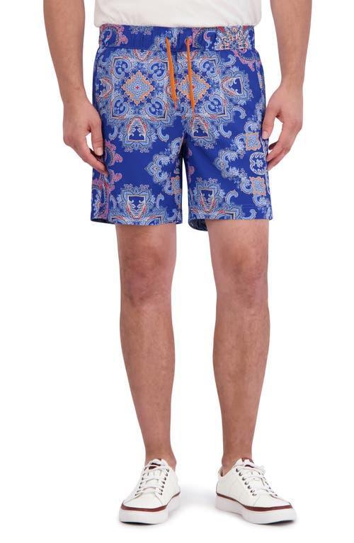 Robert Graham Loki Swim Trunks Product Image