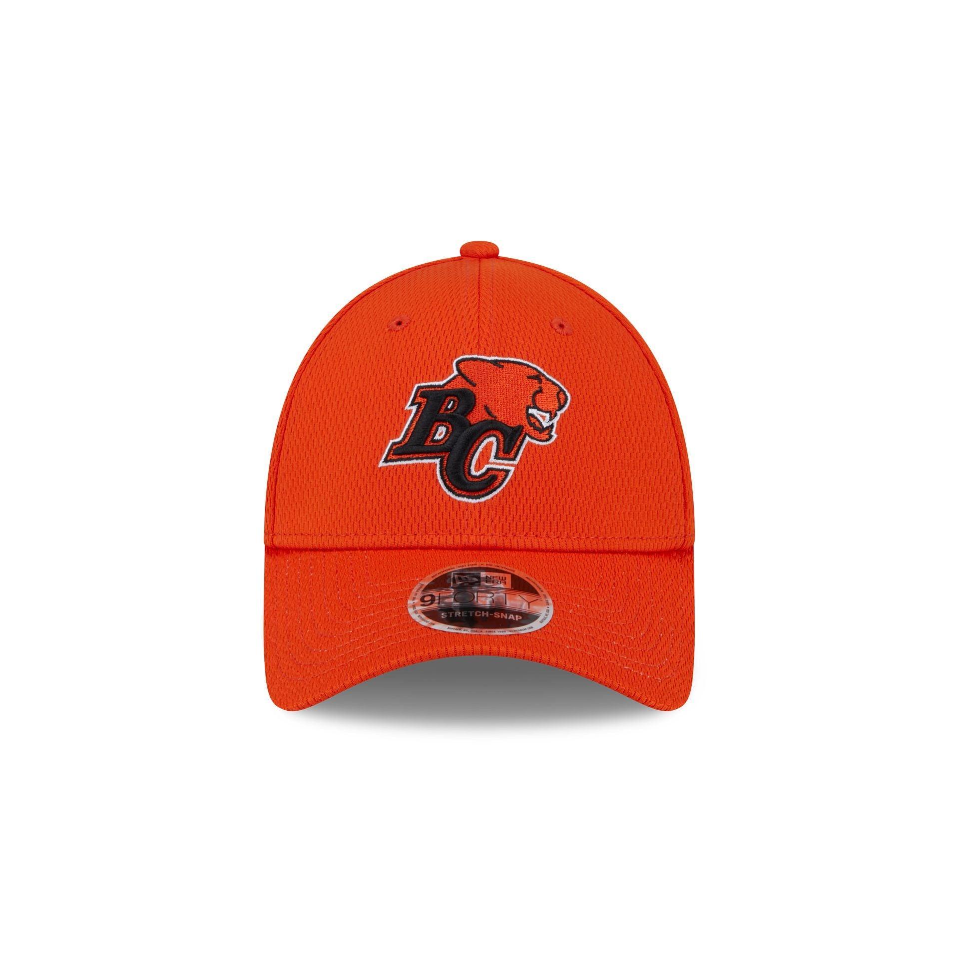 BC Lions Team 9FORTY Snapback Hat Male Product Image