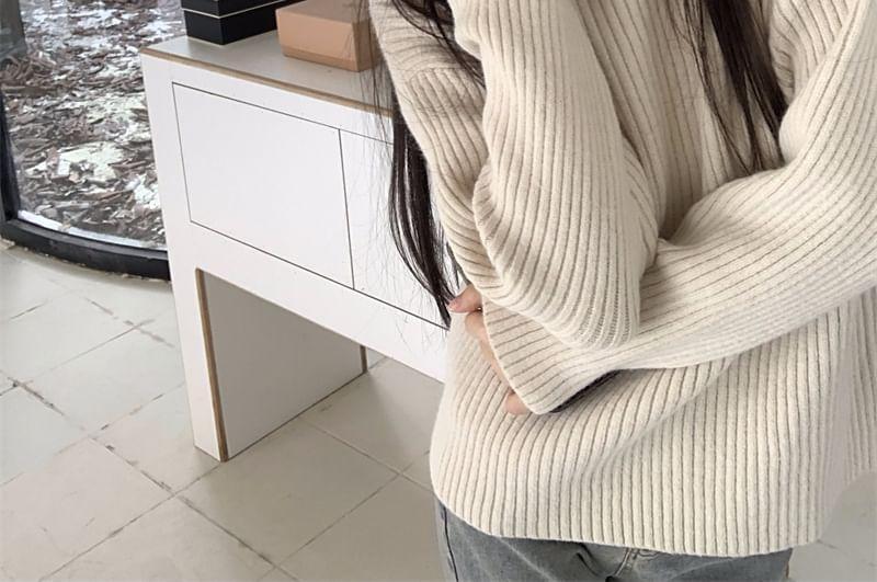 Turtleneck Plain Ribbed Sweater Product Image