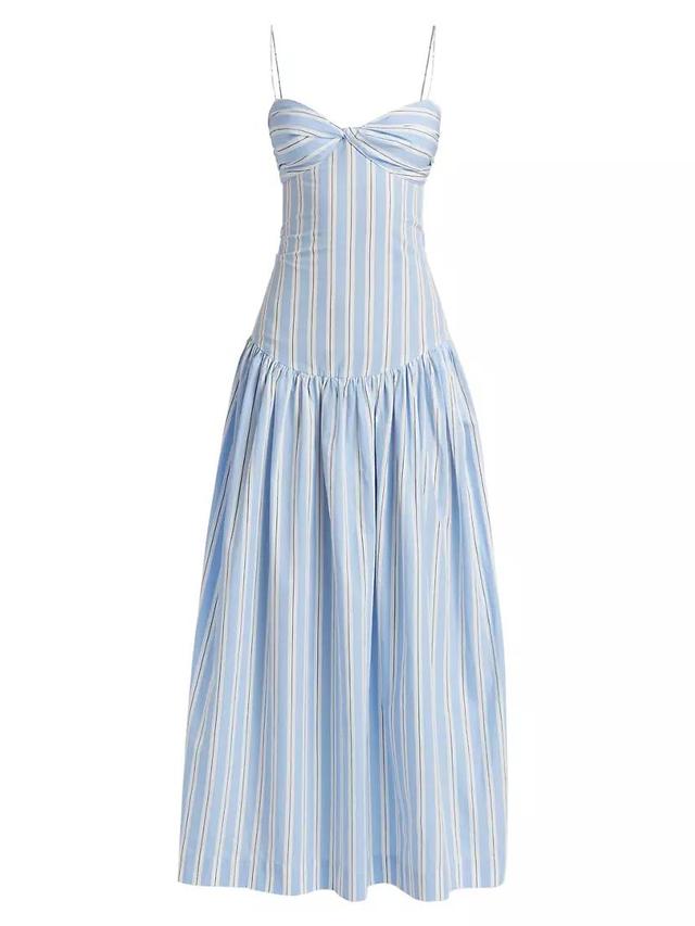 Rapture Striped Fit & Flare Dress Product Image