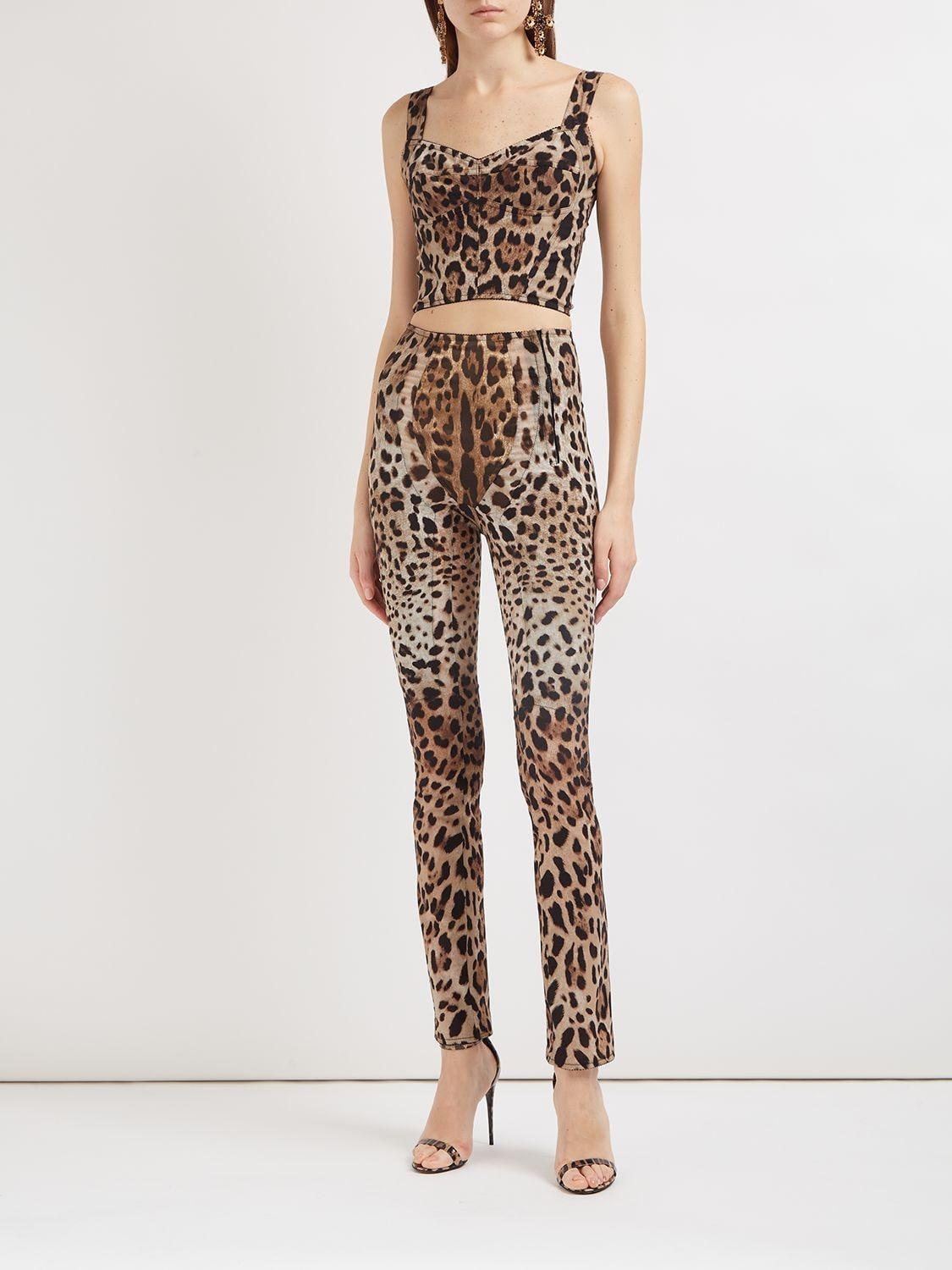 DOLCE & GABBANA Leopard Print Stretch Straight Pants In Brown Product Image