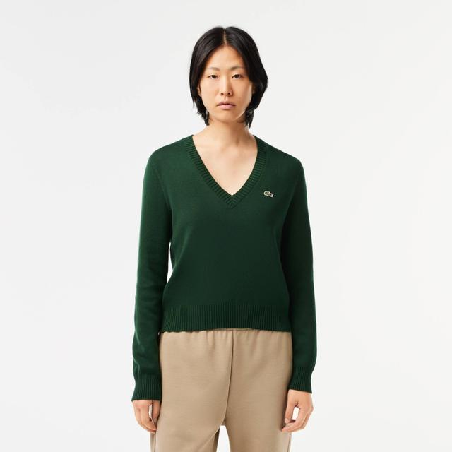 Cotton V Neck Sweater Product Image