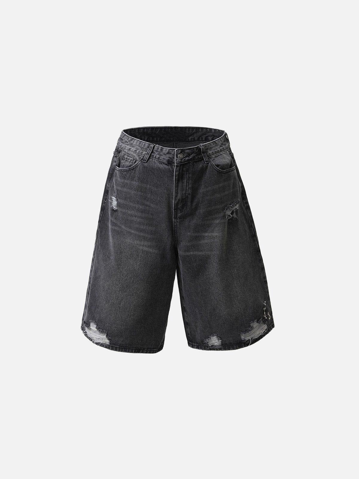 Aelfric Eden Distressed Washed Jorts Product Image