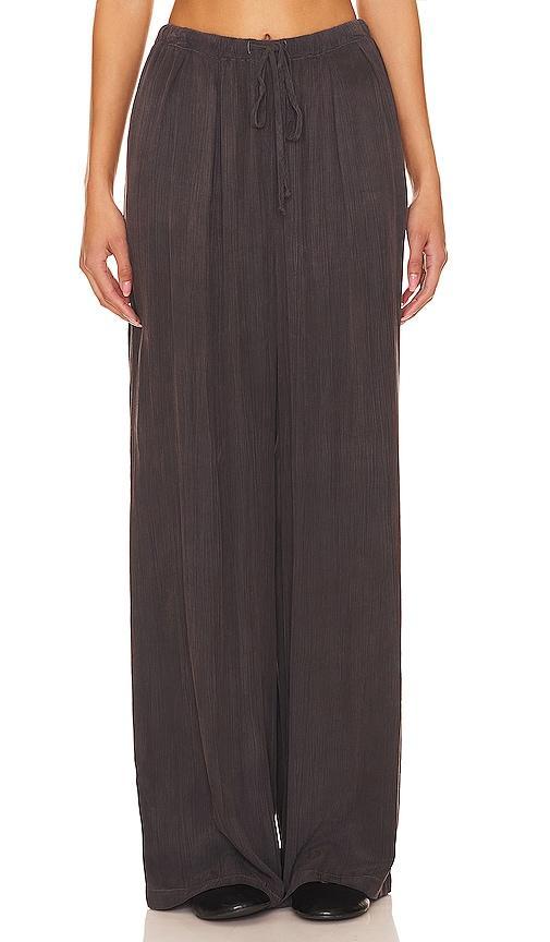 Easy Pleated Wide Leg Pant Product Image