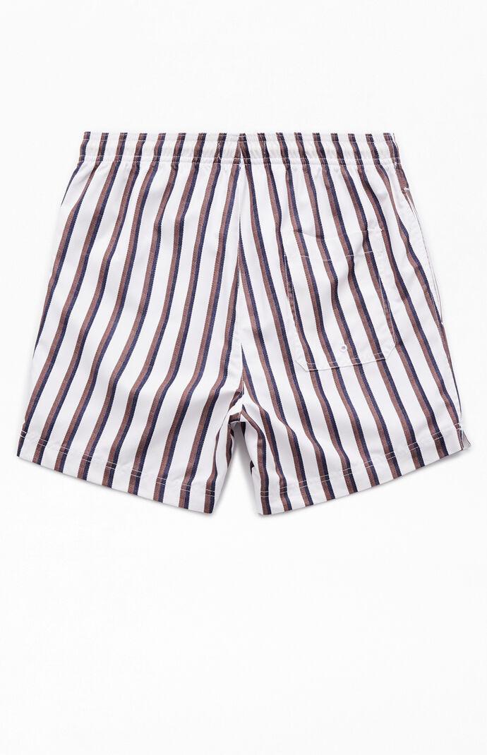 Men's Baja Striped 4.5 Swim Trunks - Product Image