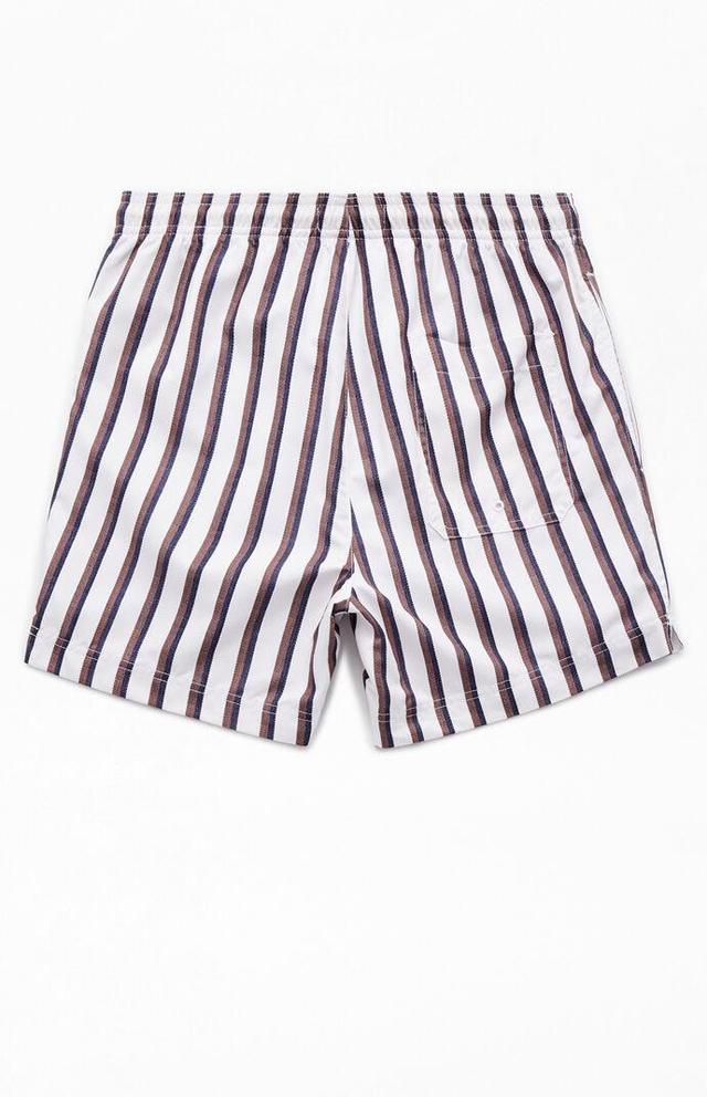 Men's Baja Striped 4.5 Swim Trunks - Product Image