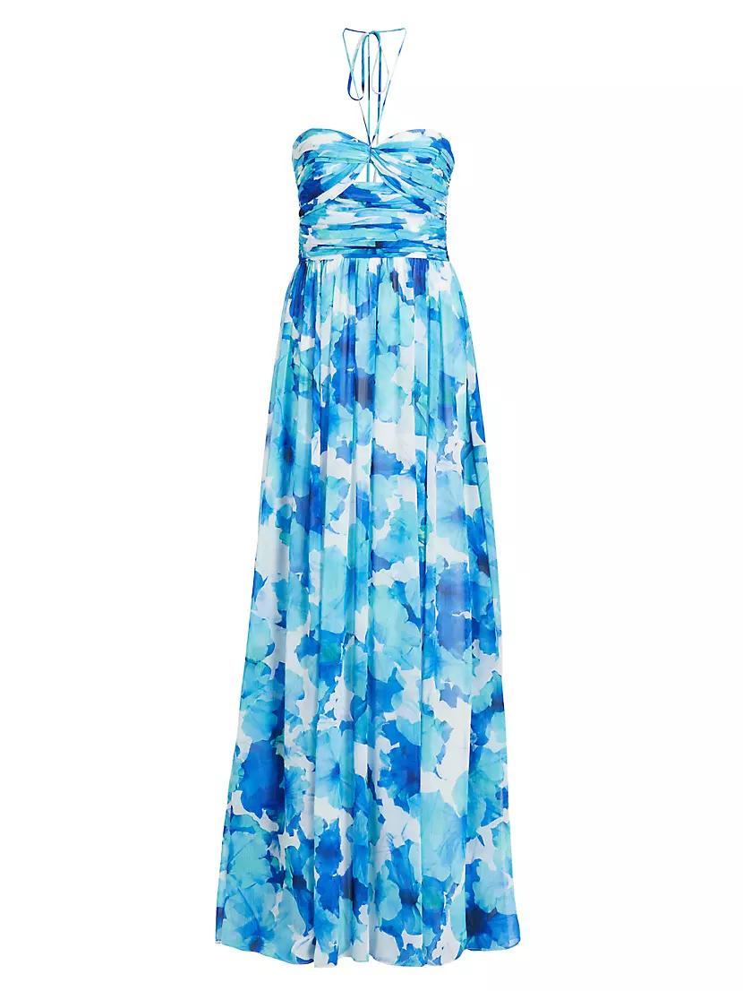 Emilia Floral Chiffon Halterneck Gown Product Image