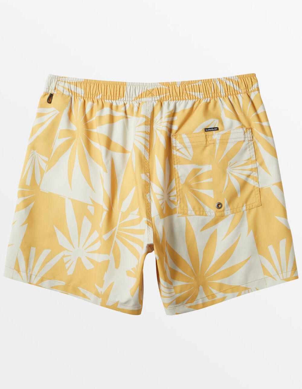 QUIKSILVER Everyday Mix Mens 17'' Volley Shorts Product Image