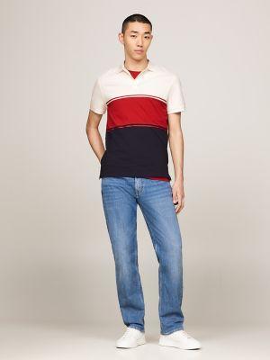 Regular Fit Colorblock Polo Product Image