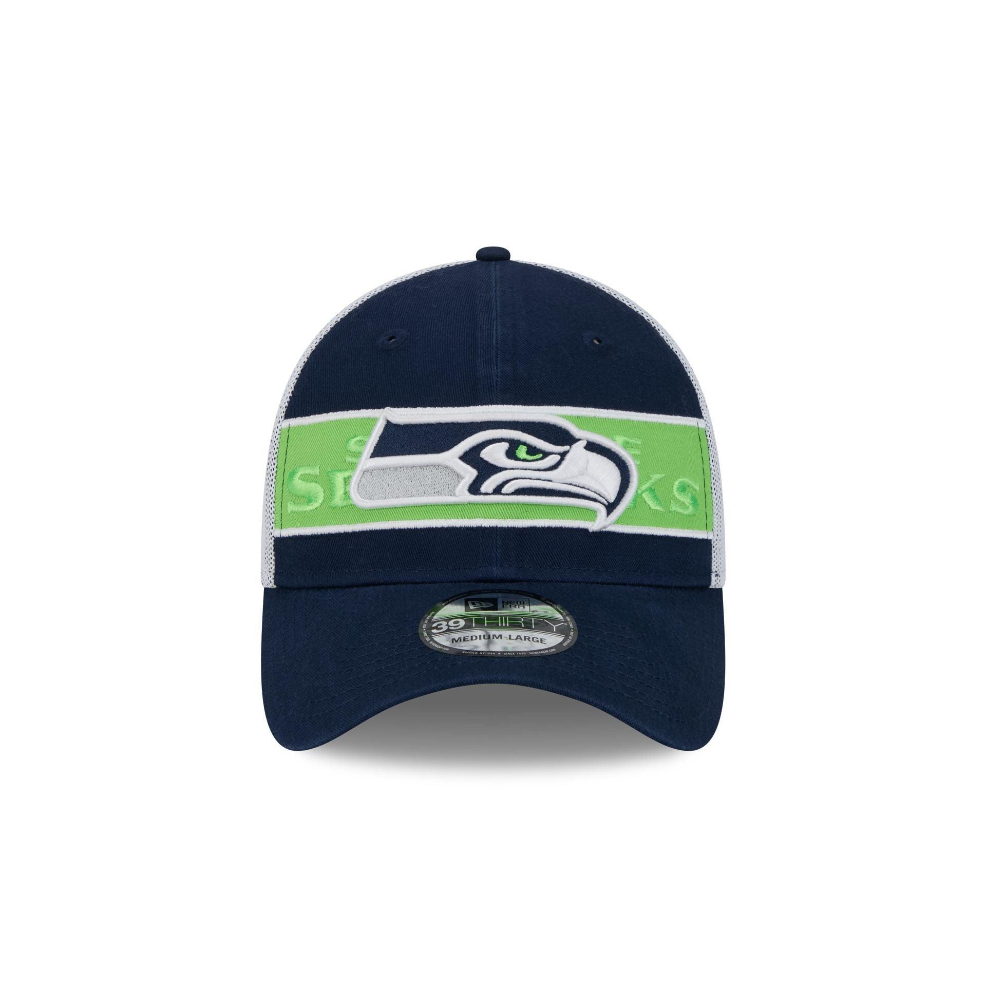 Seattle Seahawks Banded 39THIRTY Stretch Fit Hat Male Product Image