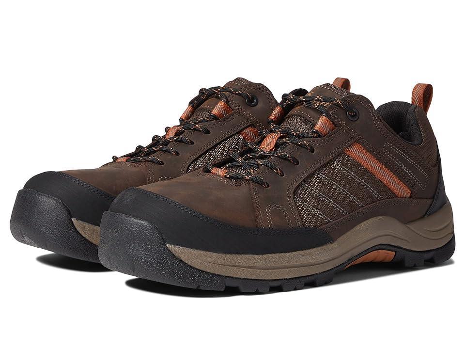 Danner Riverside 3 ST (Brown/Orange) Men's Shoes Product Image