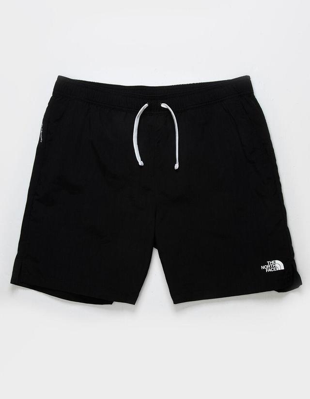 THE NORTH FACE Action 2.0 Mens Shorts Product Image