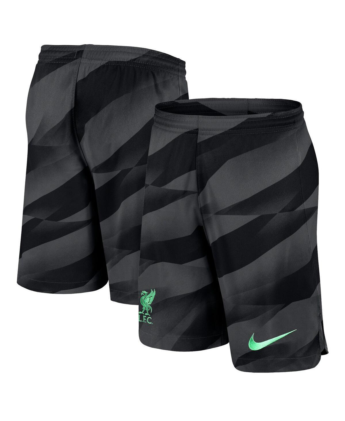 Mens Nike Anthracite Liverpool 2023/24 Stadium Goalkeeper Performance Shorts Product Image