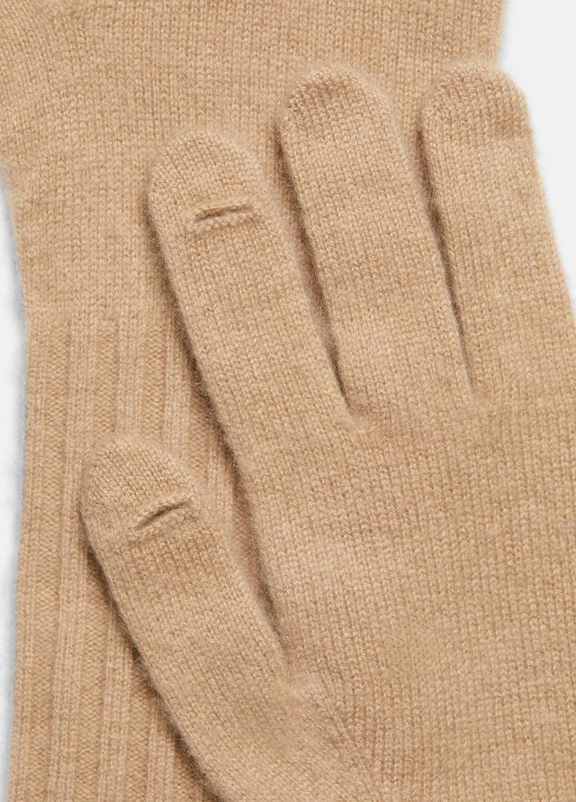 Plush Cashmere Glove Product Image