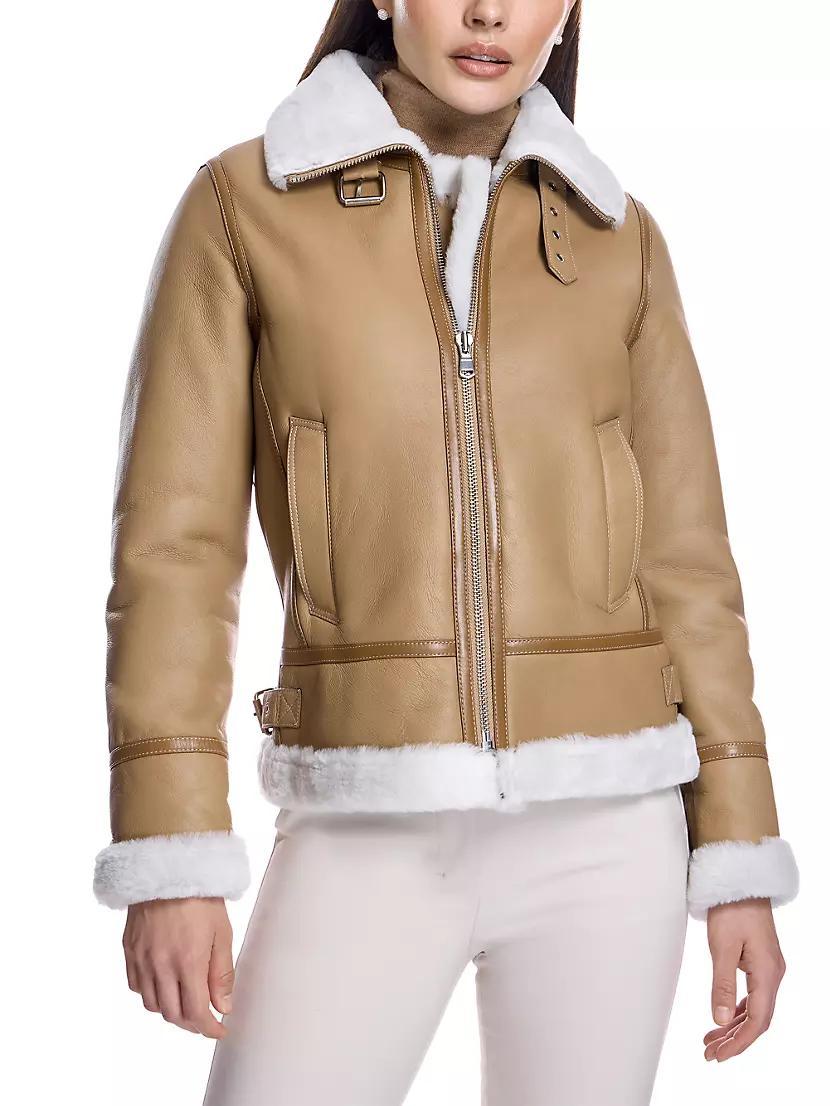 Leather & Shearling Flight Jacket Product Image