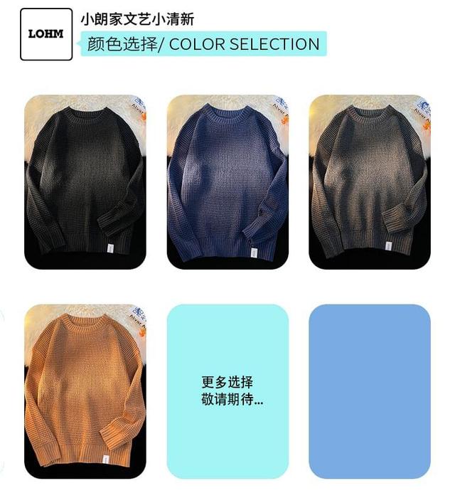 Long-Sleeve Crew Neck Plain Sweater Product Image