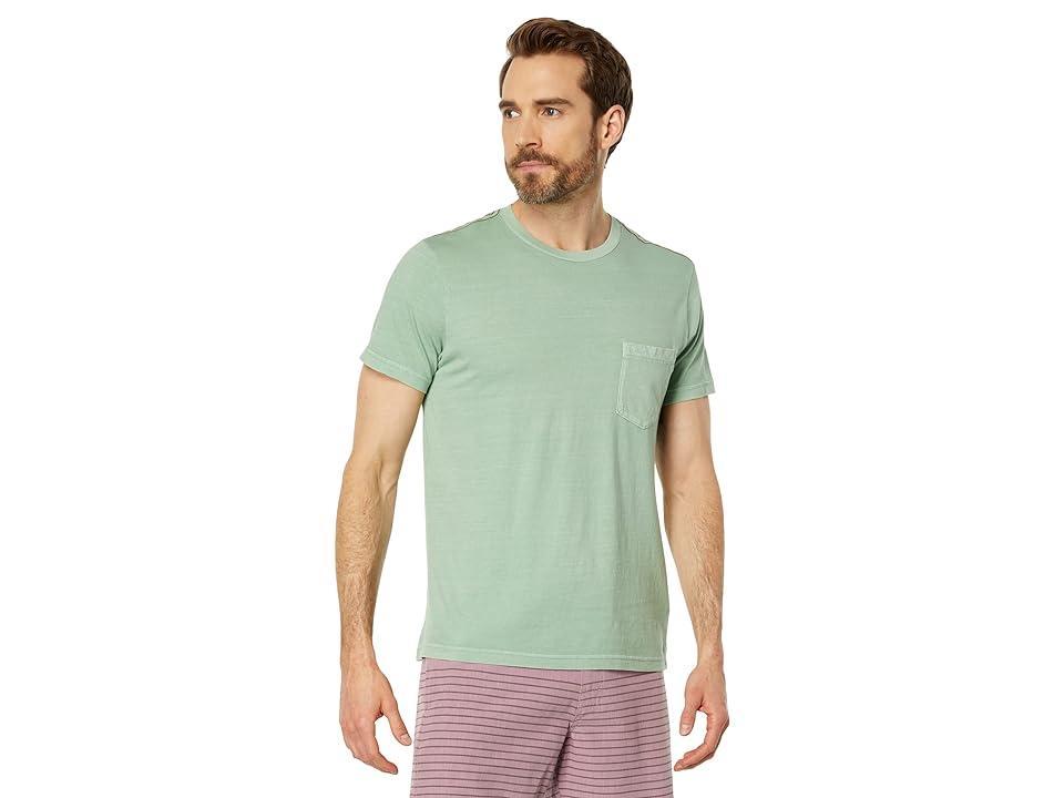 RVCA PTC Pigment Short Sleeve Tee (Natural) Men's Clothing Product Image