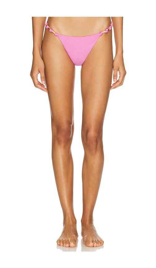 Paula Bikini Bottom Product Image