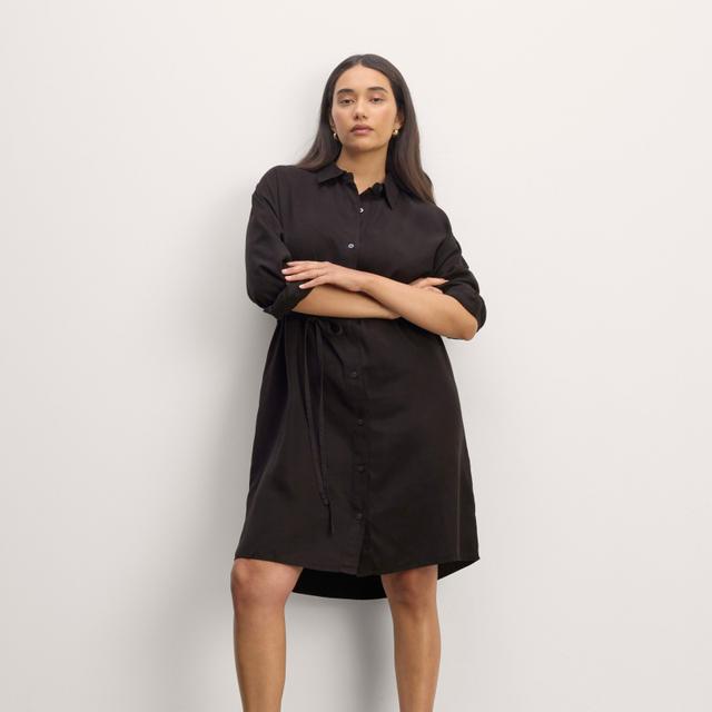 Womens Must-Have Shirtdress in Butterlite by Everlane Product Image