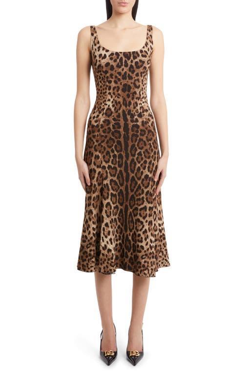 Dolce & Gabbana Leopard Print Cady Fit & Flare Dress Product Image