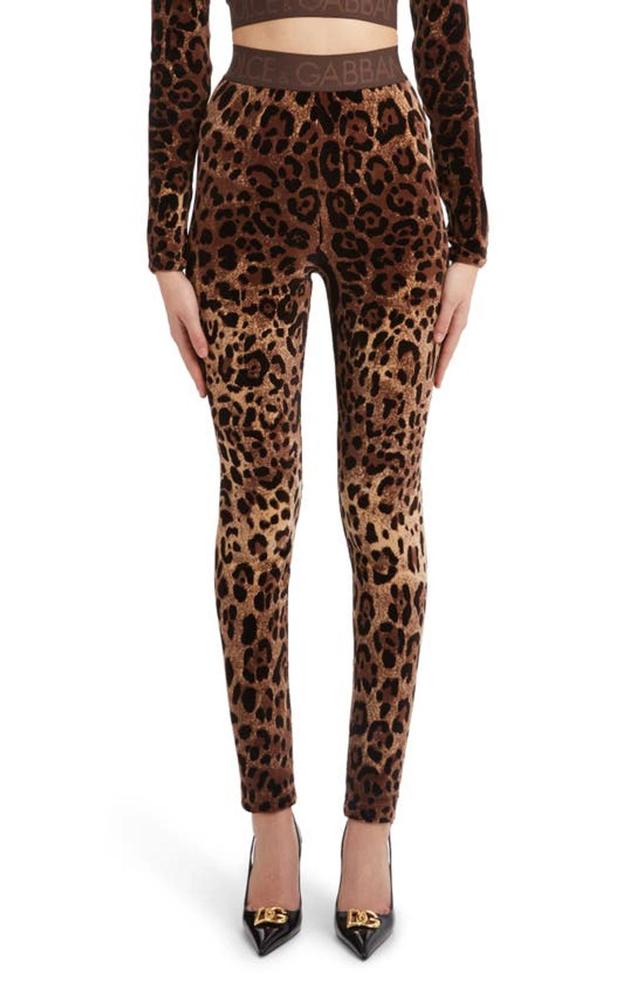 DOLCE & GABBANA Leopard-print Jacquard Leggings Product Image