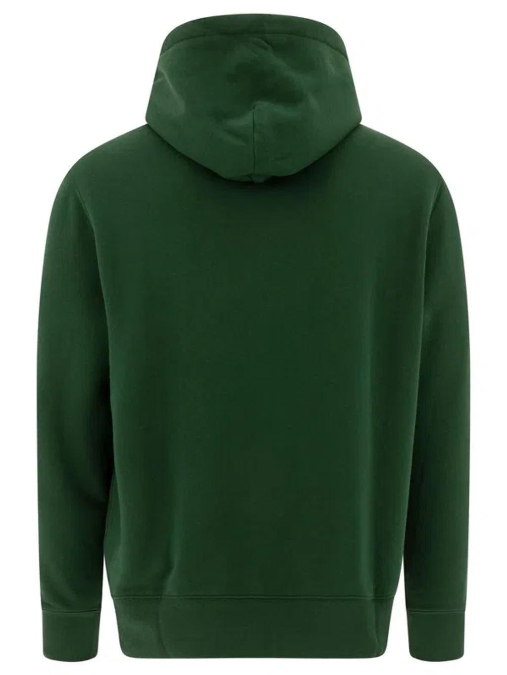 POLO RALPH LAUREN Bear Graphic Hoodie Ribbed Finish In Green Product Image