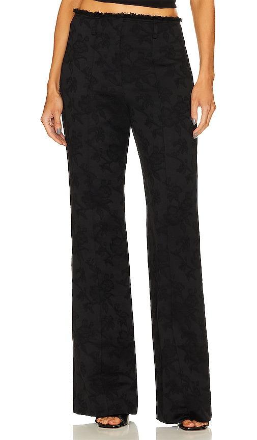 Stevi Pant Product Image