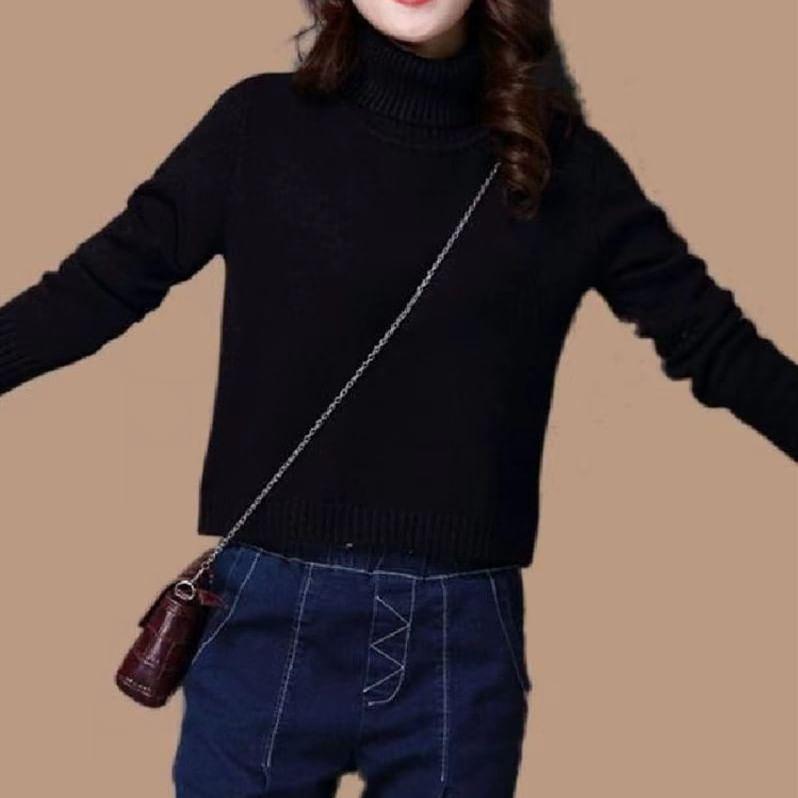 Long-Sleeve Turtleneck Plain Knit Top Product Image