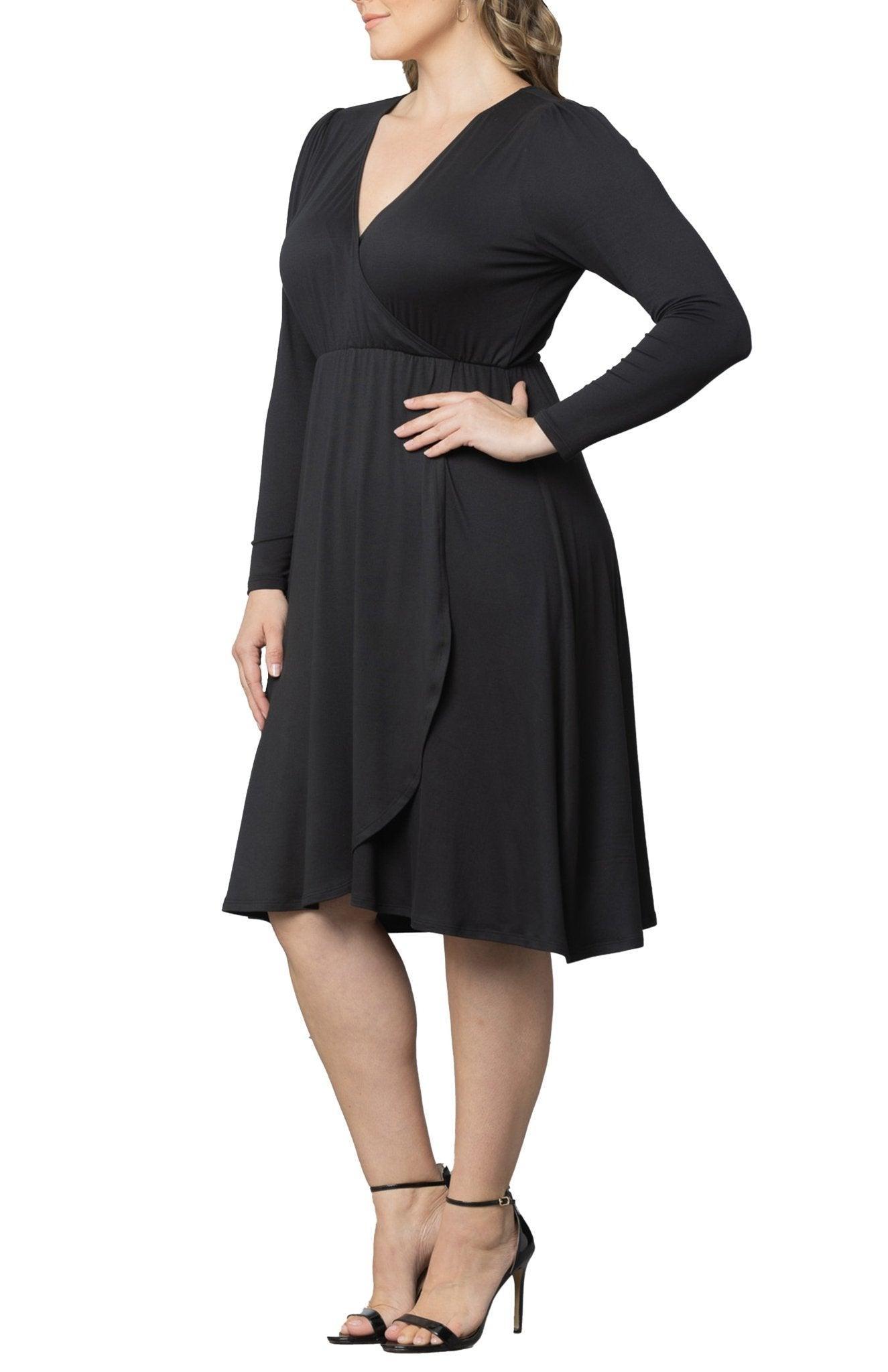 Aster Faux Wrap Dress - Plus Product Image