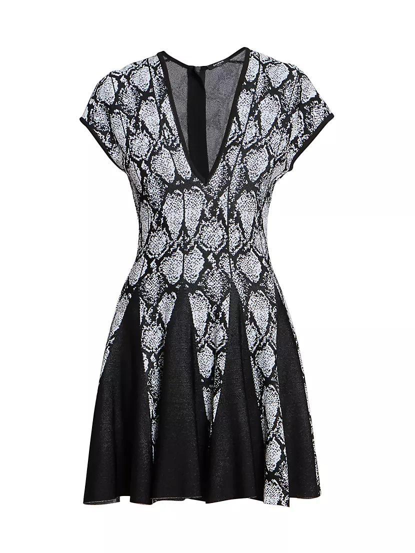 Python Print Skater Dress Product Image