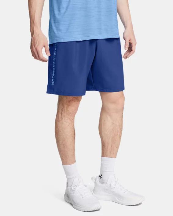 Mens UA Tech Woven Wordmark Shorts Product Image